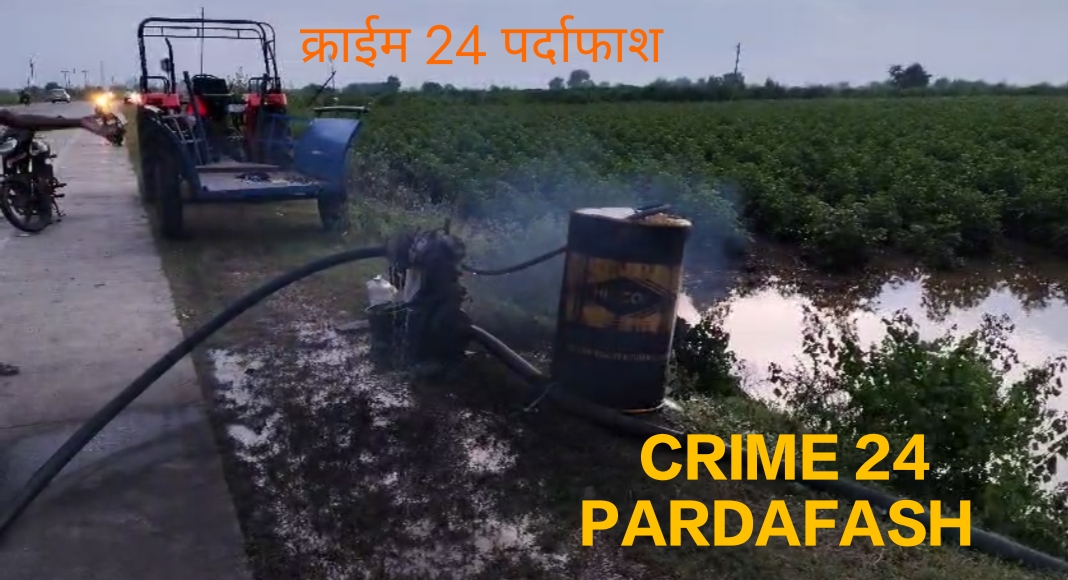 परतीच्या पावसामुळे कापूस पिकाचे मोठे नुकसान.
